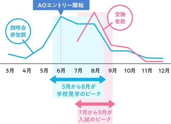 受験スケジュールグラフ